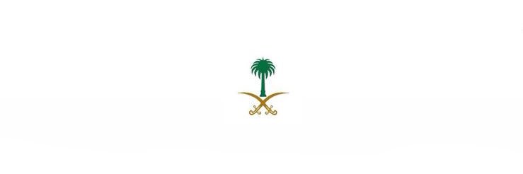 Ali Mohmosa banner