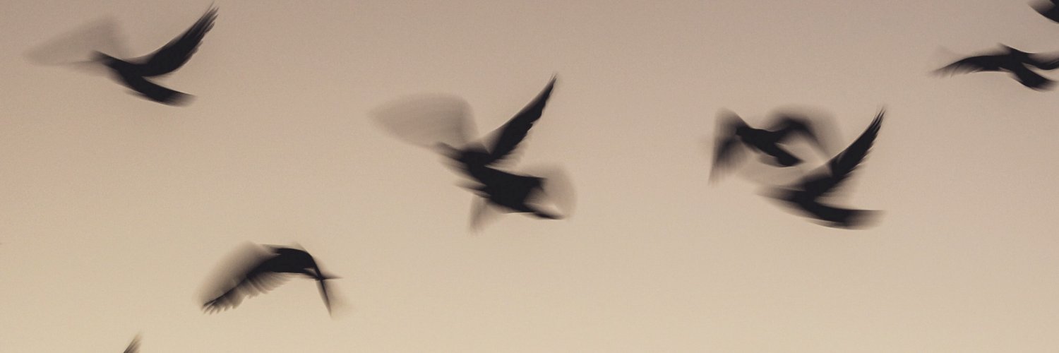 EUFLYNET COST Action banner