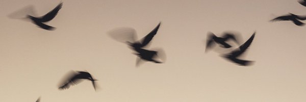 EUFLYNET Profile Banner