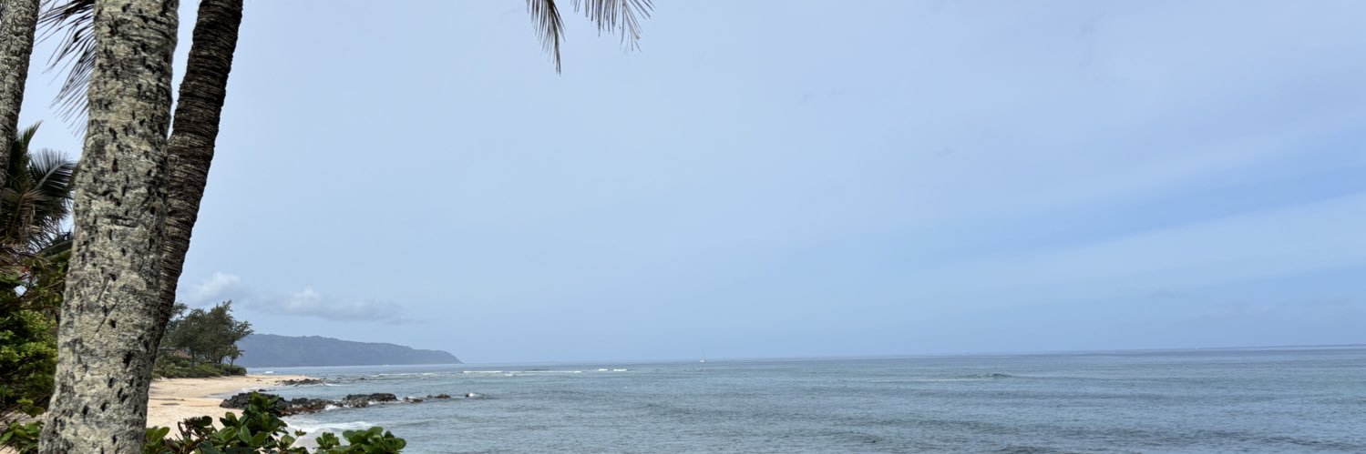 nickebner's profile banner image