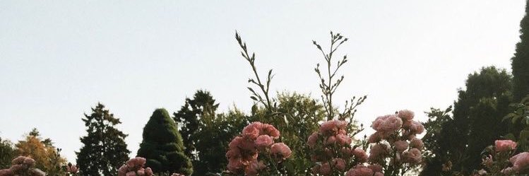 cuorespc's profile banner image