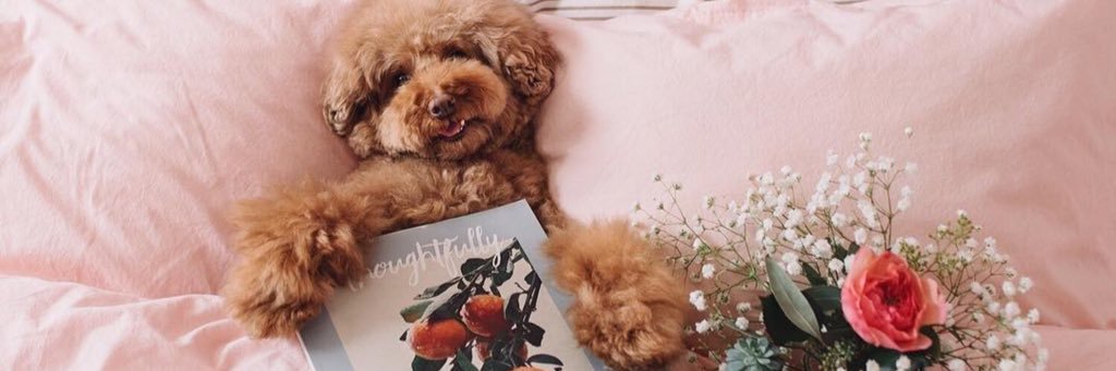 ThoughtfullyMag's profile banner image