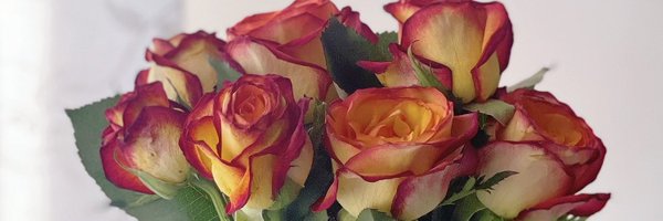 mstinan Profile Banner