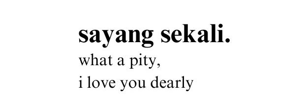 ilys ִֶָ۶ৎ˖ִ ˚ banner