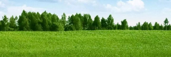 at_spire's profile banner image