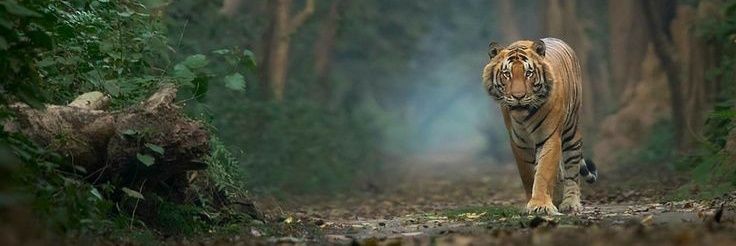HrishikeshDange's profile banner image