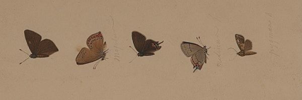 bya 💫 | 📖: doces rivais banner