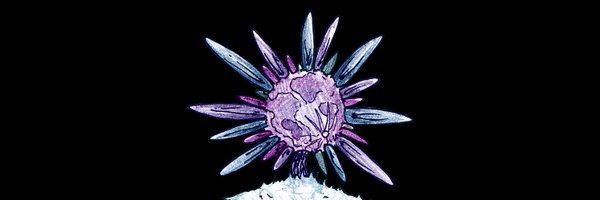 Luna_Eterna1 Profile Banner