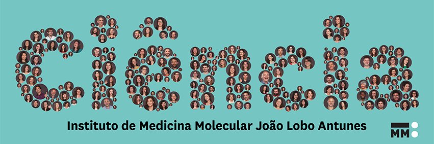 iMM's banner