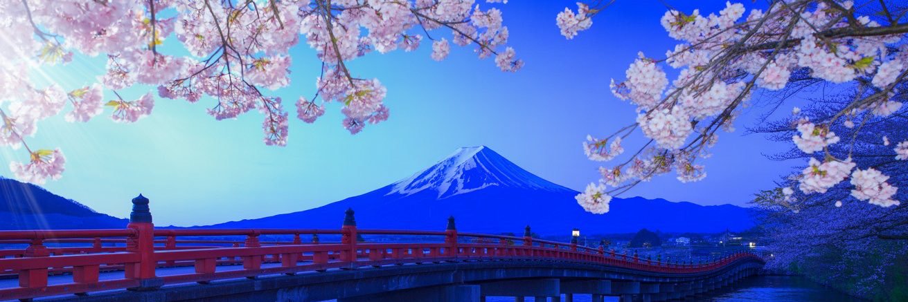 PetchQon's profile banner image