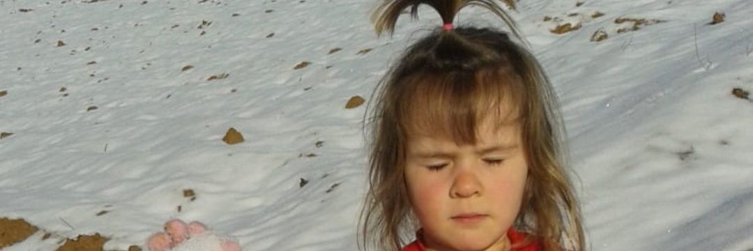 selver_sevda's profile banner image