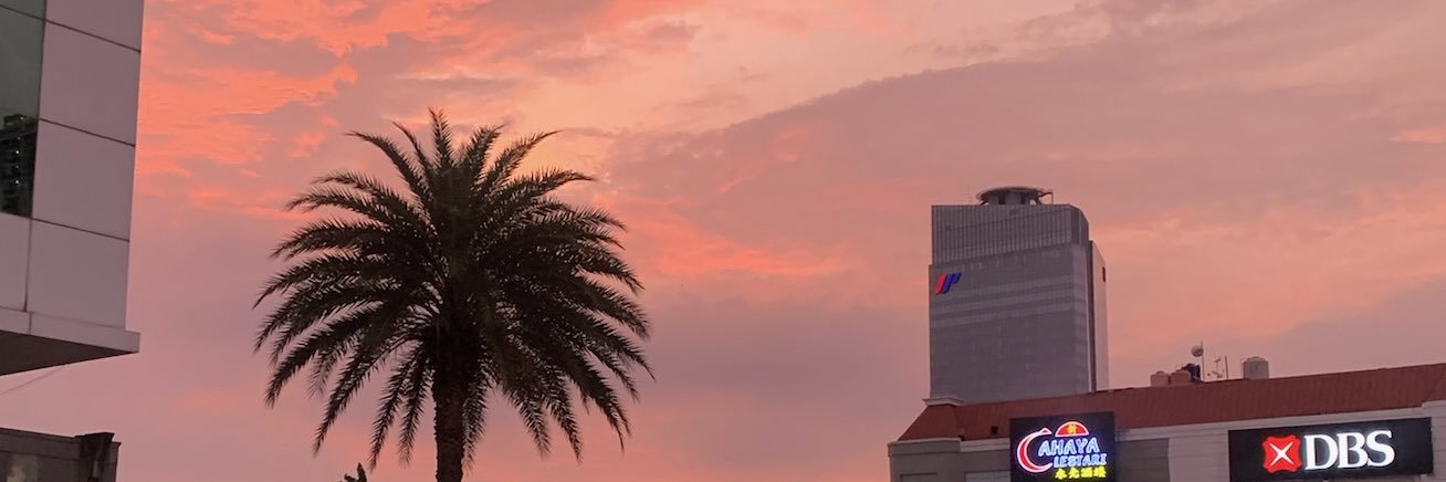 lollyadore's profile banner image