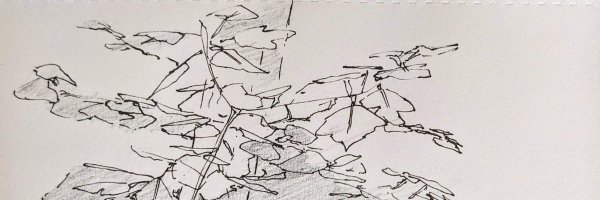 lavianim Profile Banner