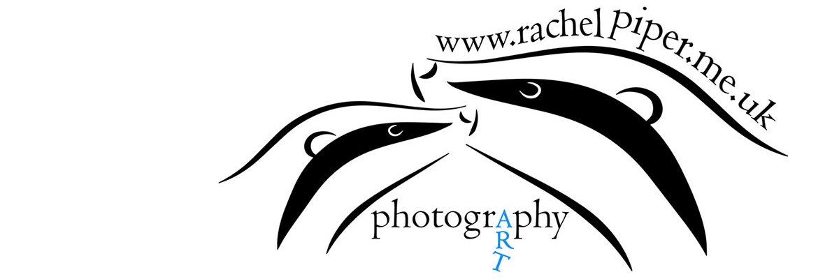 rtpiper's profile banner image