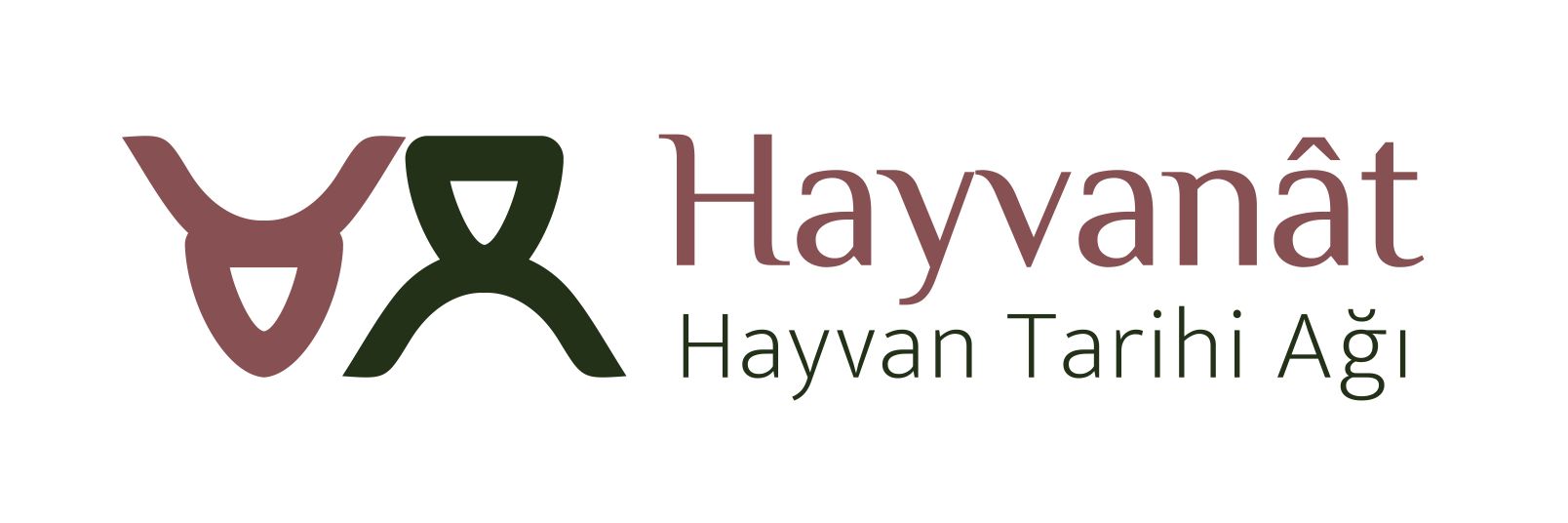 HayvanatNetwork's profile banner image