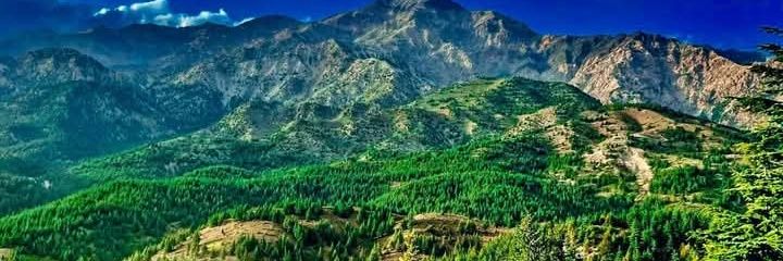 ځوان عابد banner