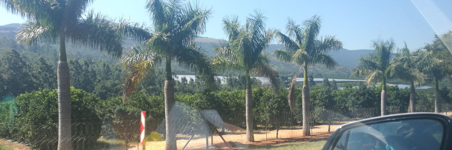 C-live from Randburg banner