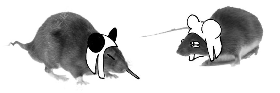 MEAT_meat_5669's profile banner image