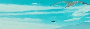 فدوه ❂'s banner
