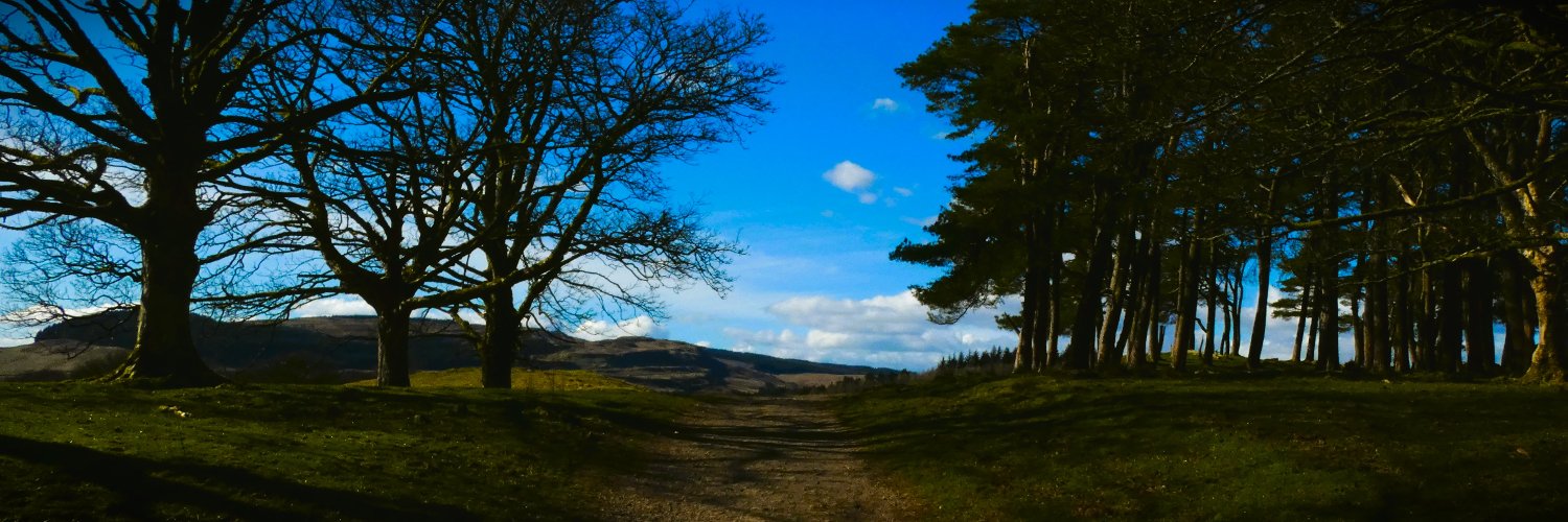 andrewcrone's profile banner image