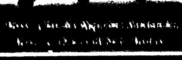 TDD (a.k.a. Delzaniac or Quitzer) banner