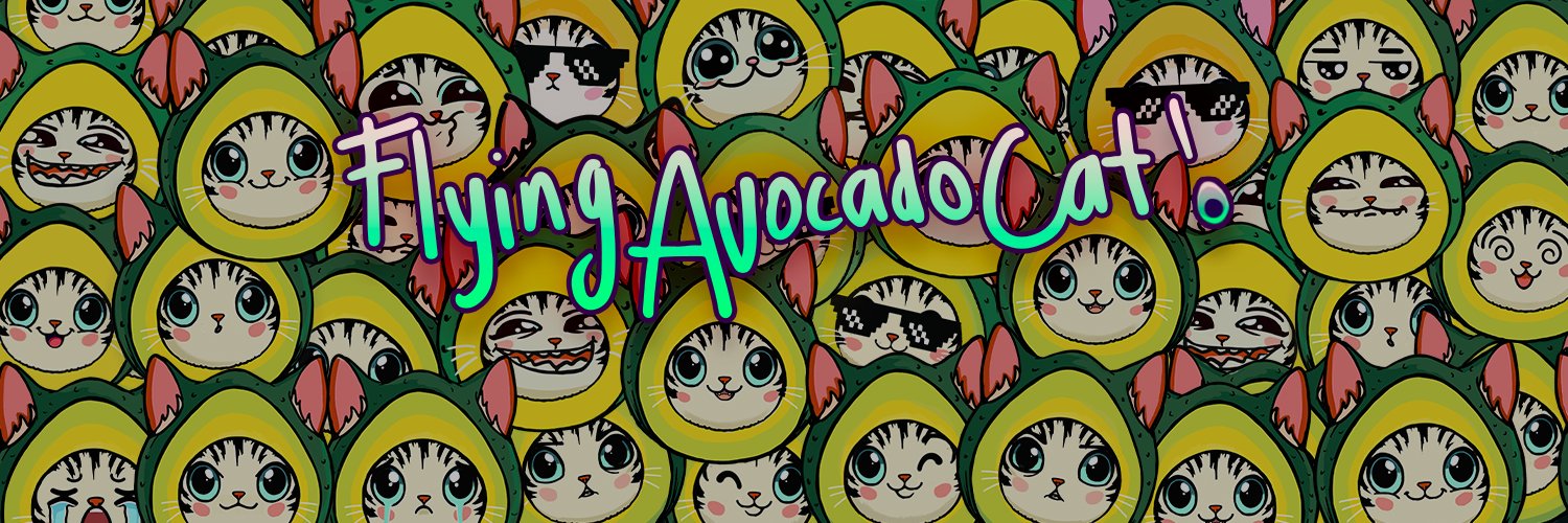 Flying Avocado Cat banner