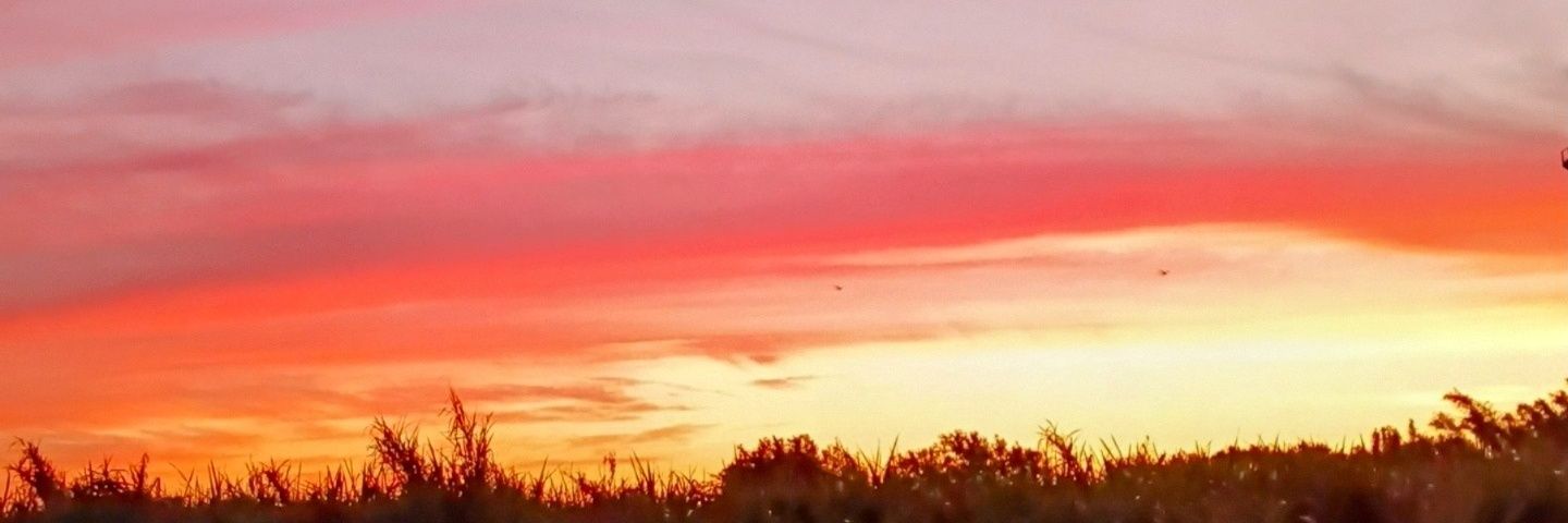 Mandy 🏳️‍🌈 banner