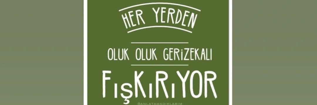 fez's banner