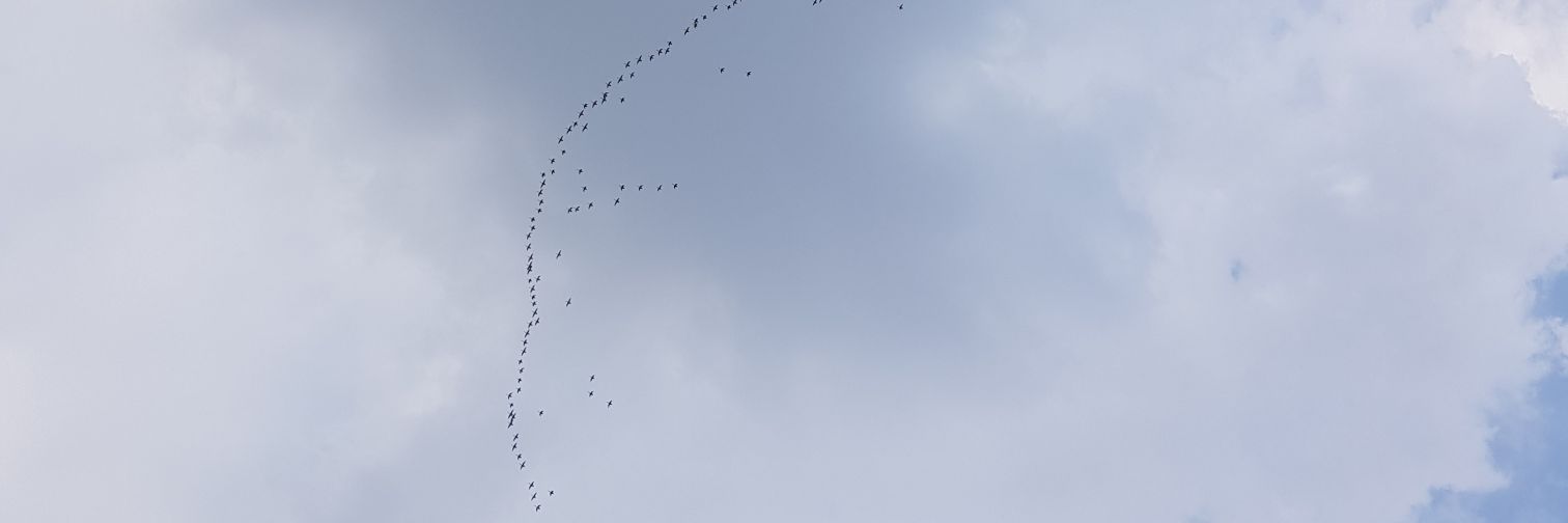 sumramak's profile banner image