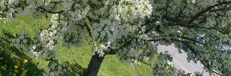 JesusGirl_116's profile banner image