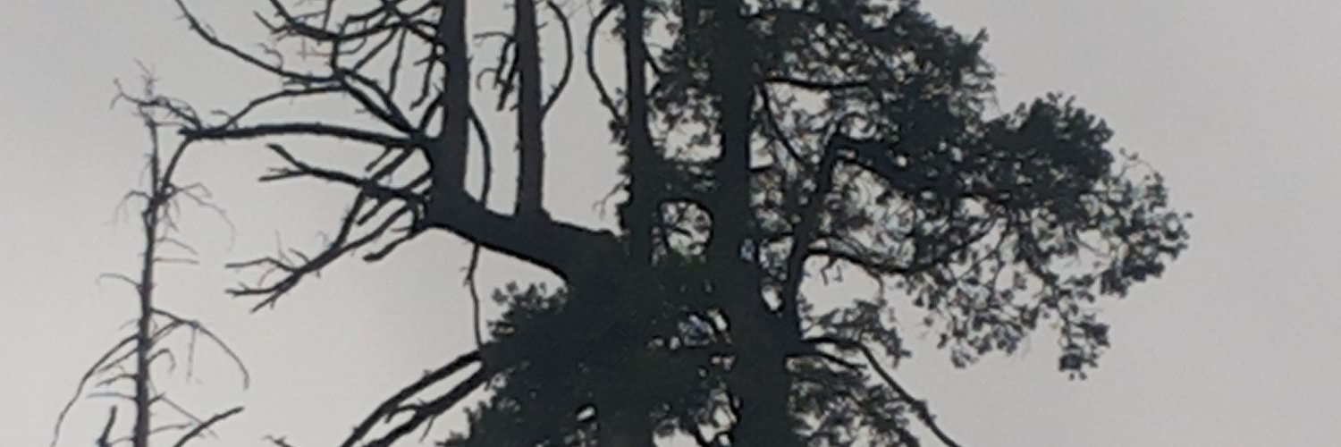 ghumman's profile banner image