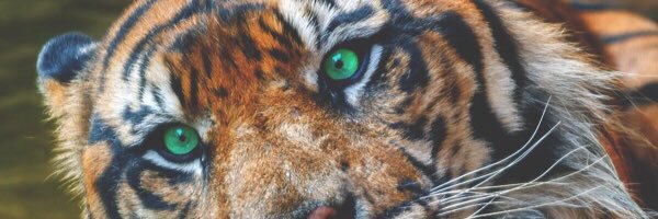 BigDrPhilFan's profile banner image