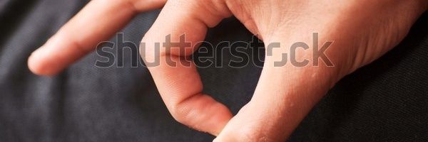 Anjals y Fitipaldis banner