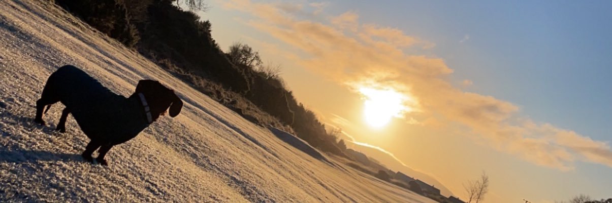 rebs_93's profile banner image