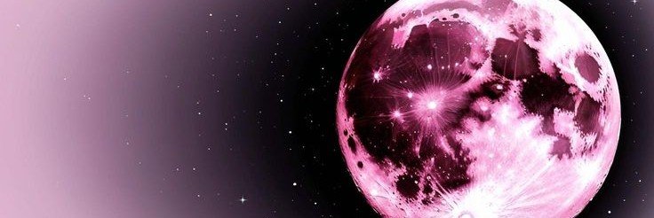 moxinsilly's profile banner image