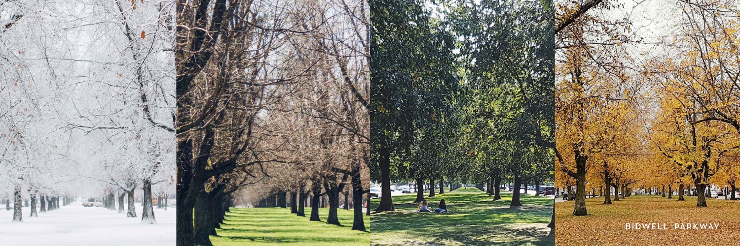 bFLO Olmsted Parks banner
