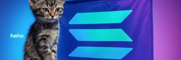 solshitbagger Profile Banner