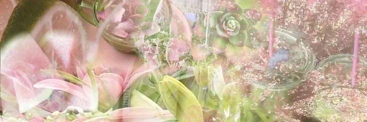 cicie 🍋🍀 banner