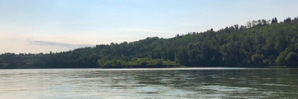 AmandaAsh Profile Banner