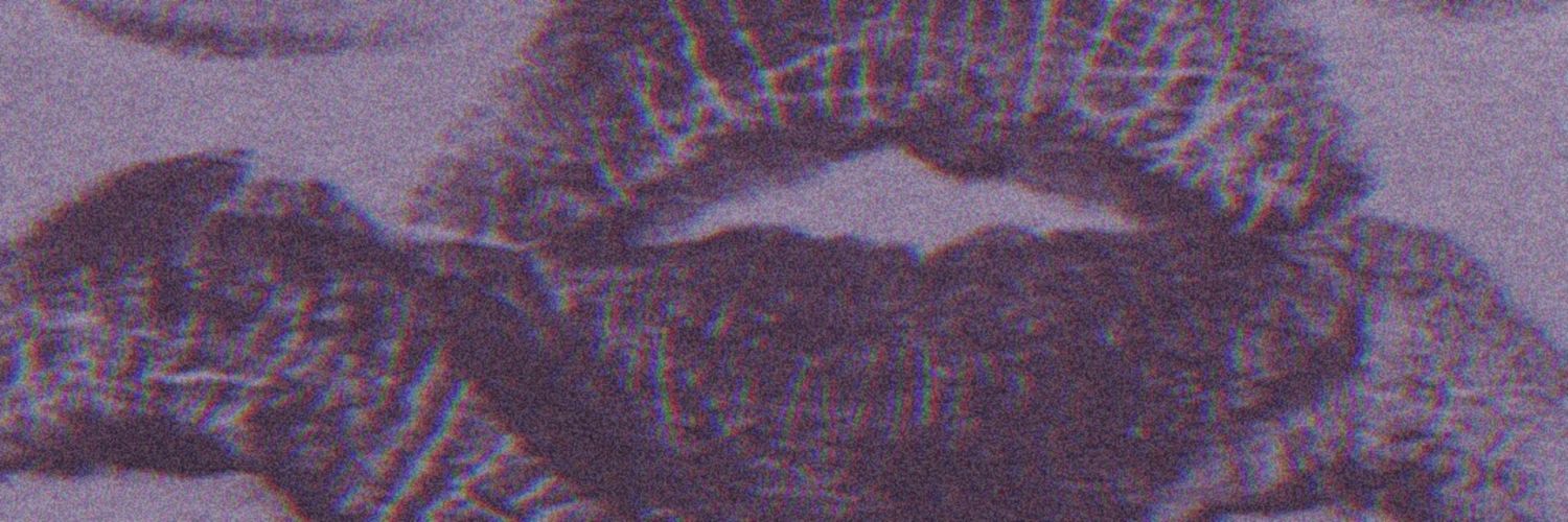 『🐽⸻𝑯𝒂𝒈 𝑷𝒊𝒈⸻🐽』 banner