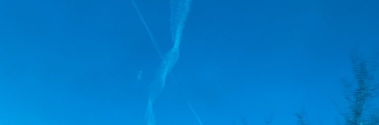 Fraxurdfuture's banner