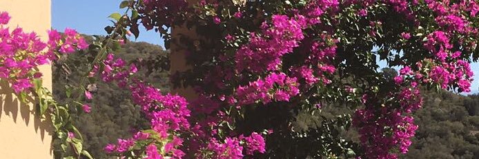 VSeket's profile banner image