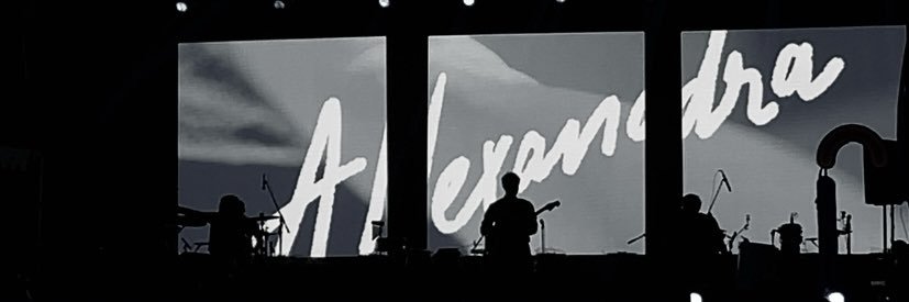 wleowleo banner