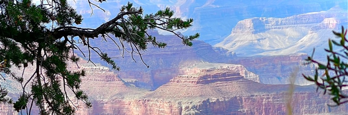 con·sci·en·tious ob·jec·tor banner