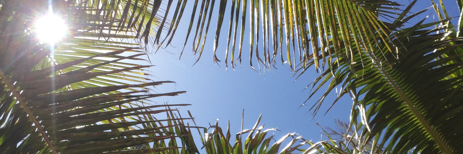 mtarzanin's profile banner image