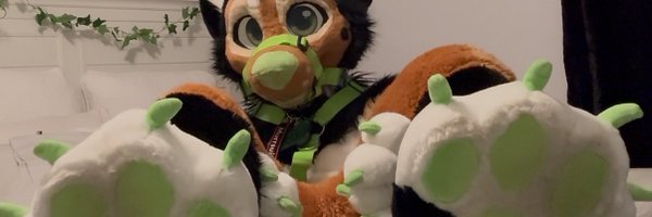 sockmutt Profile Banner