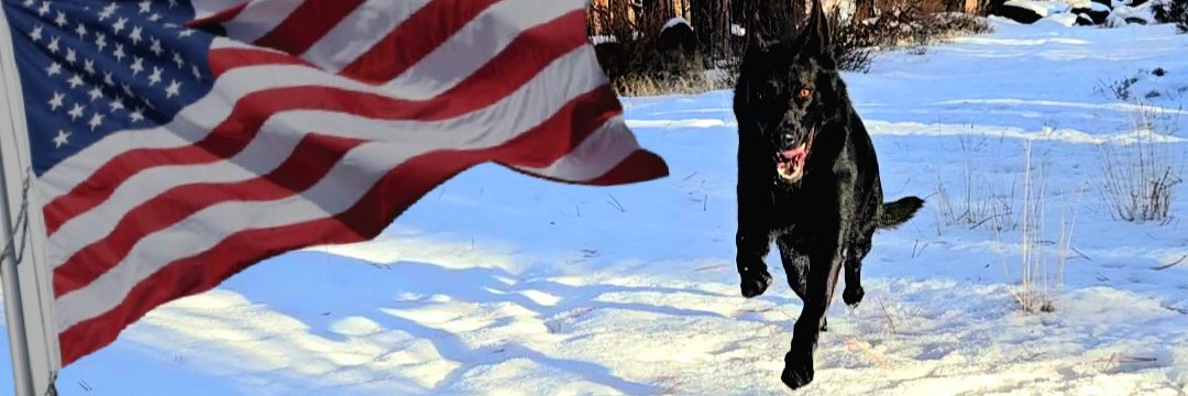 Moderate Extremely banner