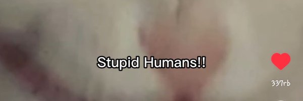 Allosterc Profile Banner