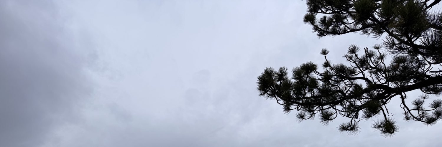 jaschwan's profile banner image