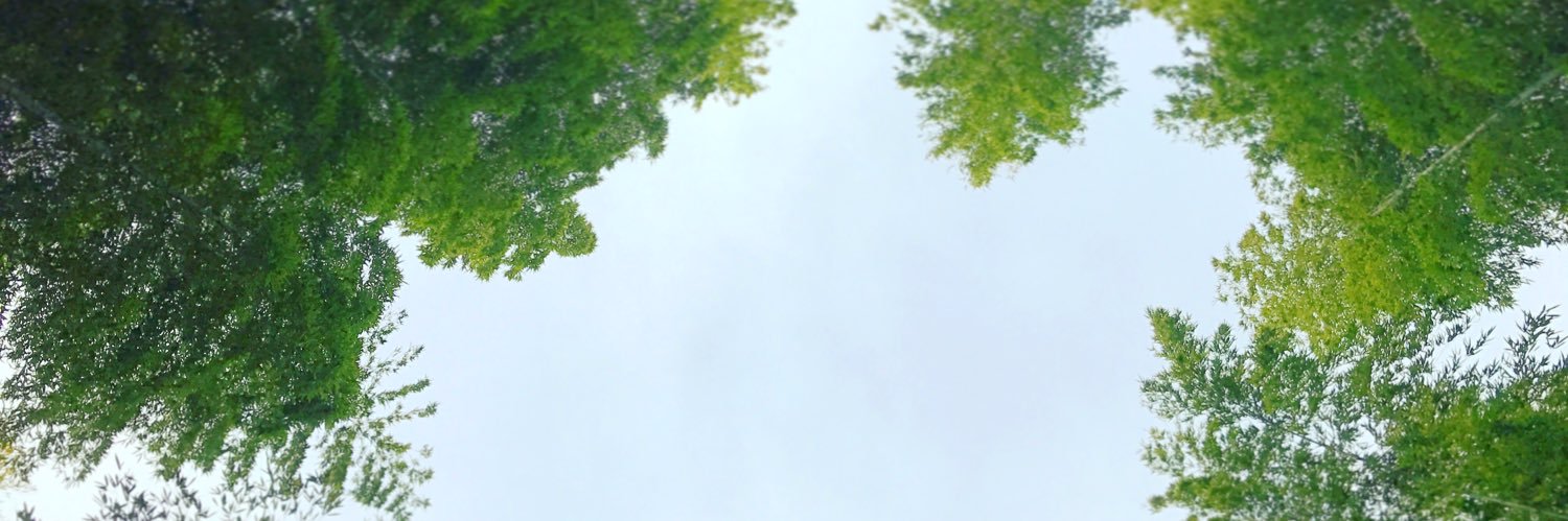 mekki562's profile banner image